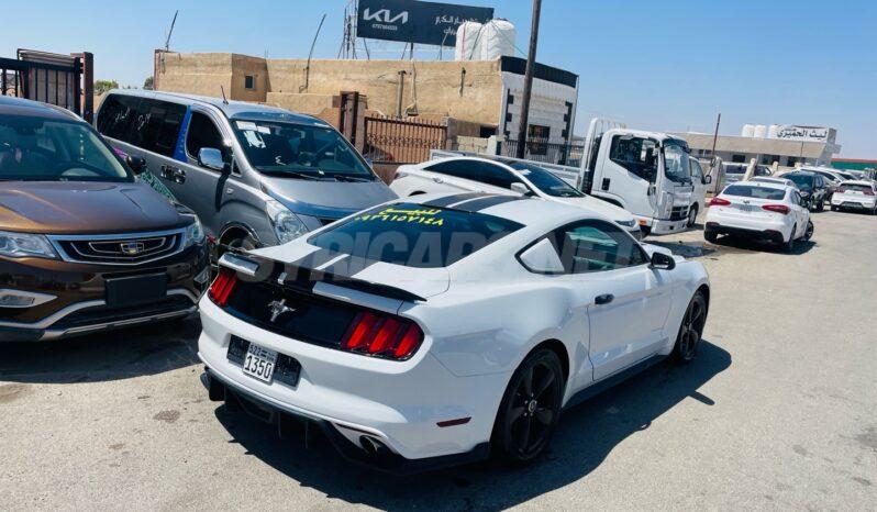 
								 فورد – Ford Mustang ممتلئ									