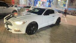 
										 فورد – Ford Mustang ممتلئ									