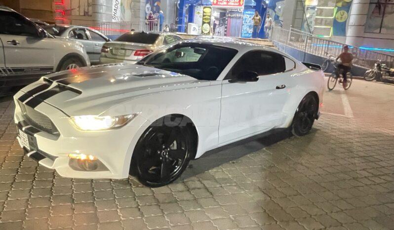 
								 فورد – Ford Mustang ممتلئ									