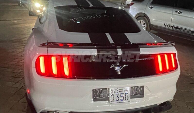 
								 فورد – Ford Mustang ممتلئ									
