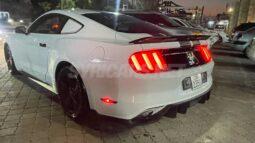 
										 فورد – Ford Mustang ممتلئ									