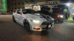 
										 فورد – Ford Mustang ممتلئ									