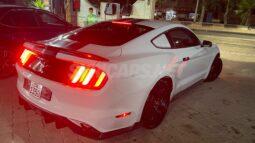 
										 فورد – Ford Mustang ممتلئ									