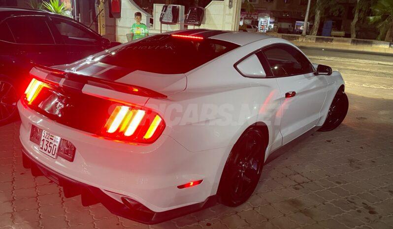 
								 فورد – Ford Mustang ممتلئ									