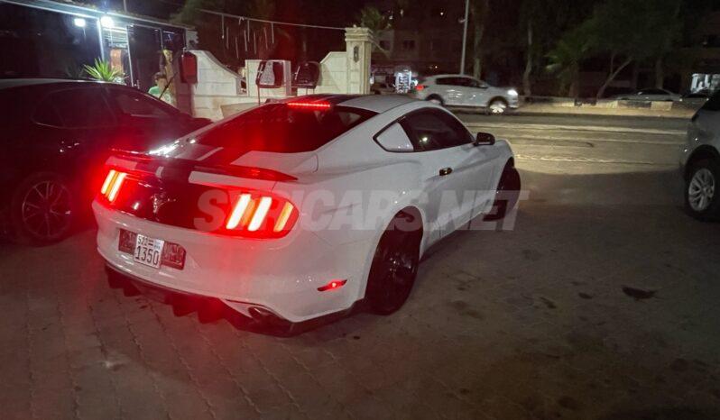 
								 فورد – Ford Mustang ممتلئ									