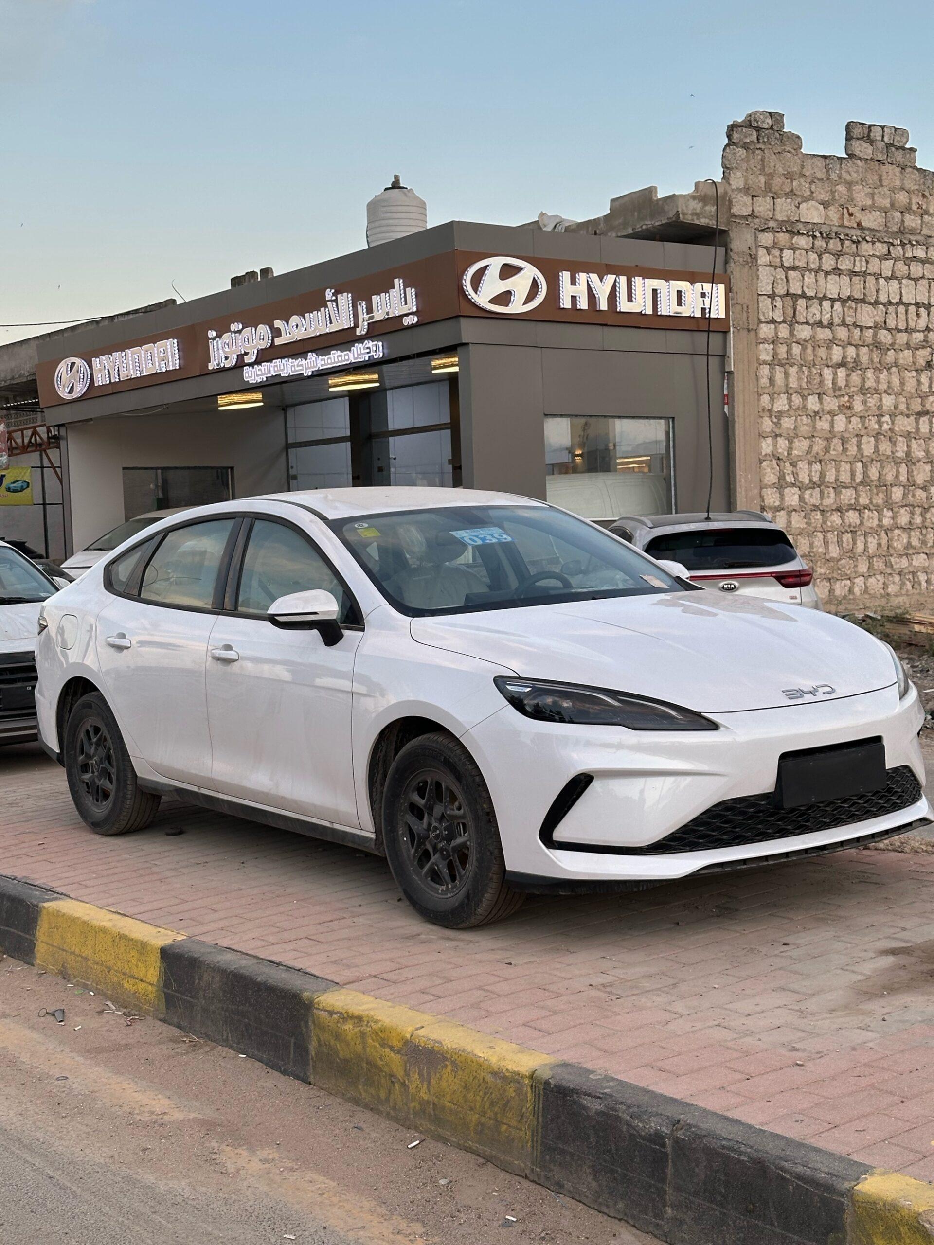 بي واي دي سيال 2025