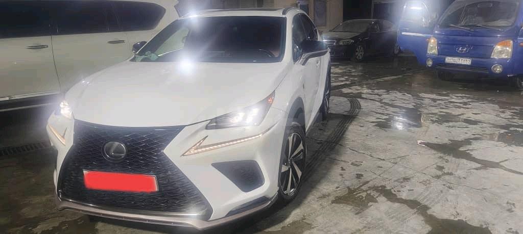 ليكسوس Series NX 2020