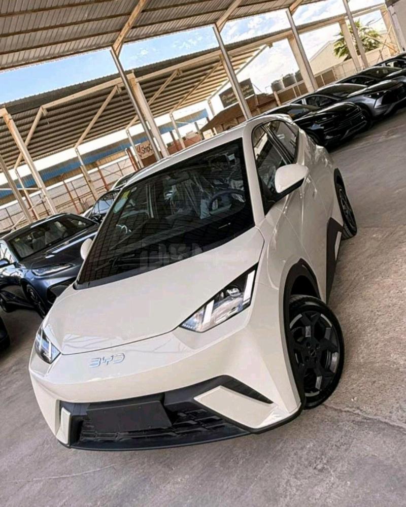 بي واي دي - BYD سيغول - Seagull, photo 5