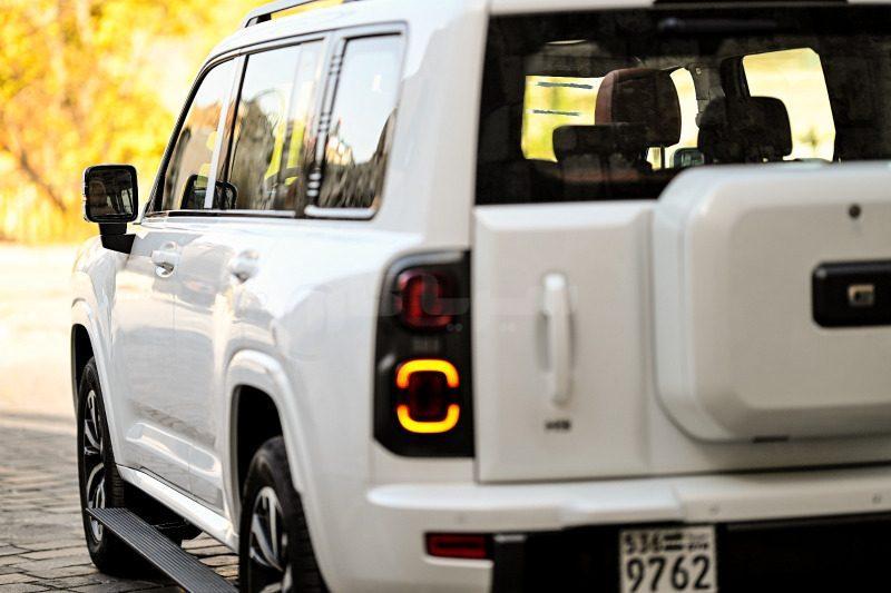 هفال - HAVAL H9, photo 6
