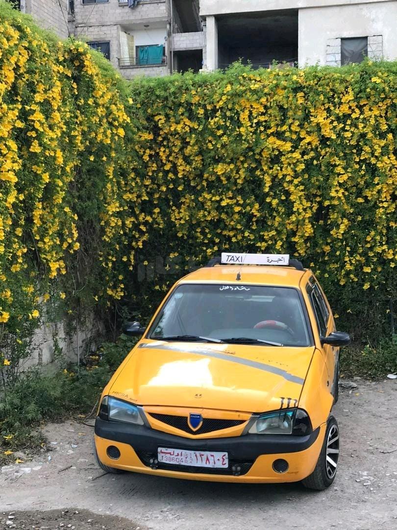 داسيا - Dacia Solenza