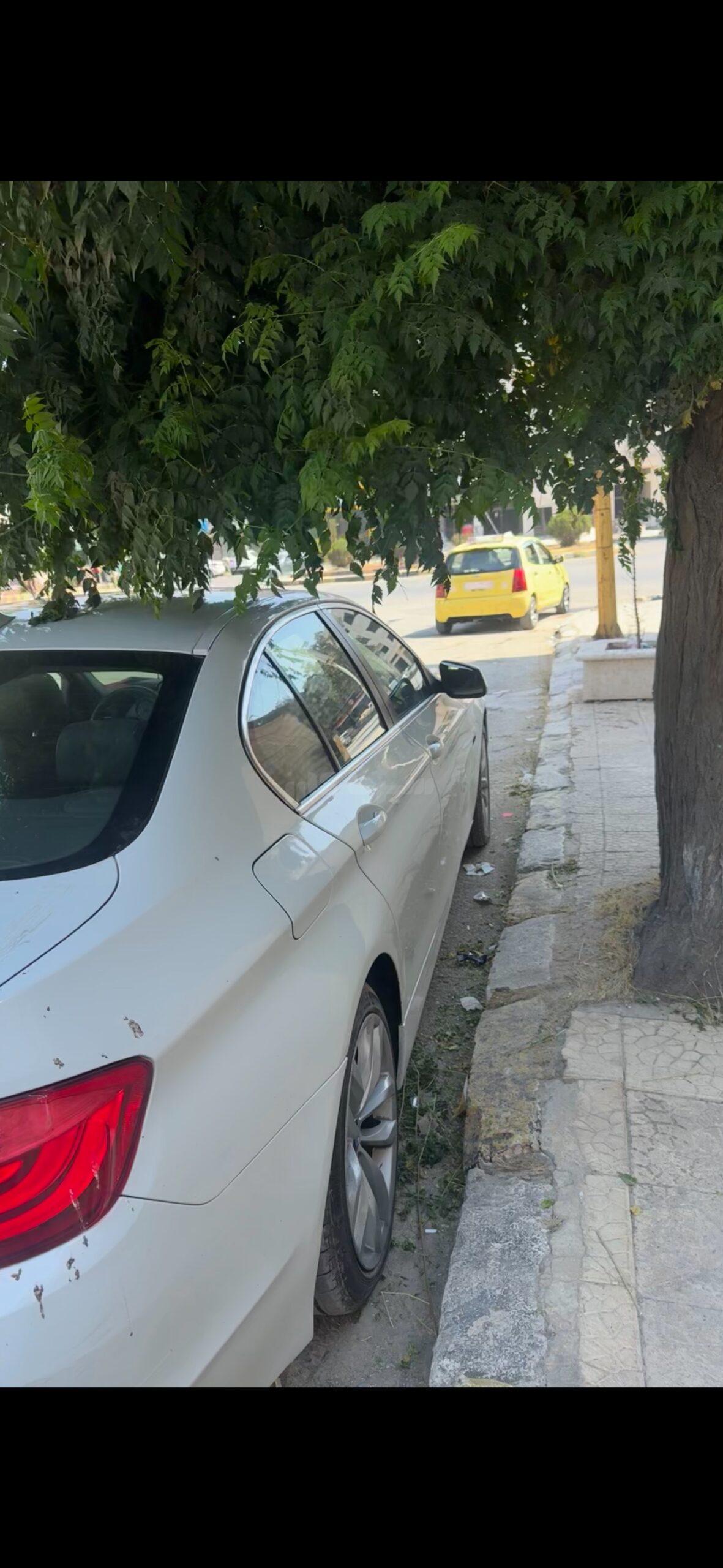 بي ام دابيليو - BMW 530, photo 3