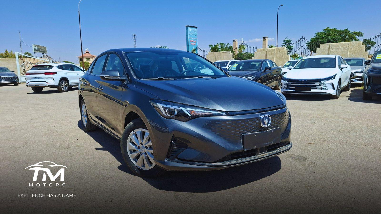 شانجان - Changan Eado EV, photo 3