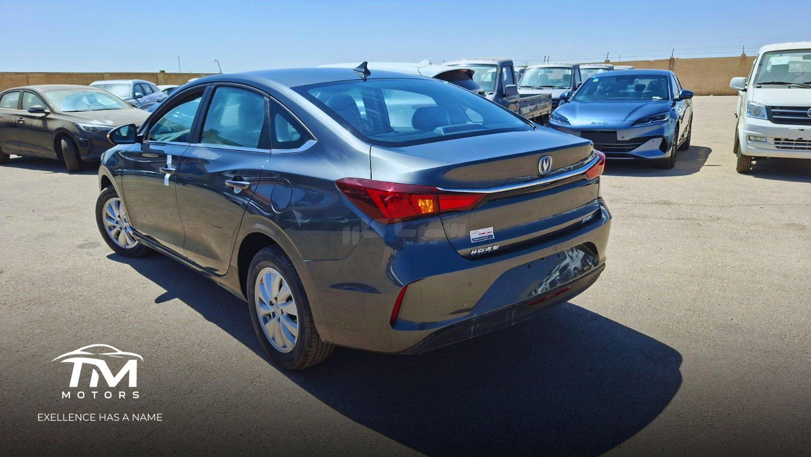 شانجان - Changan Eado EV, photo 6