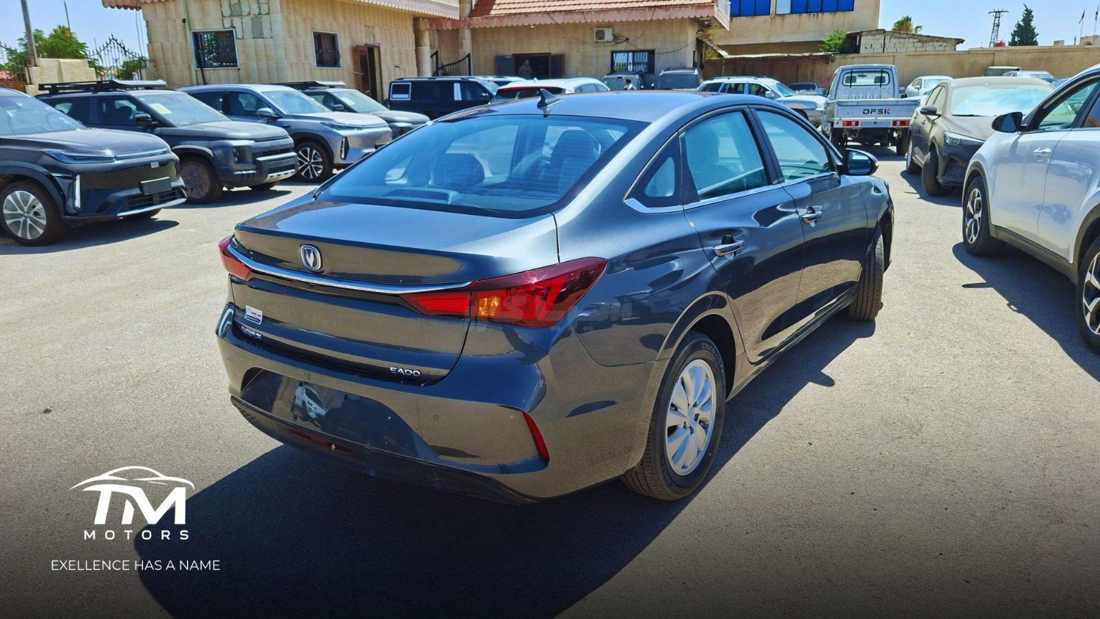 شانجان - Changan Eado EV, photo 7