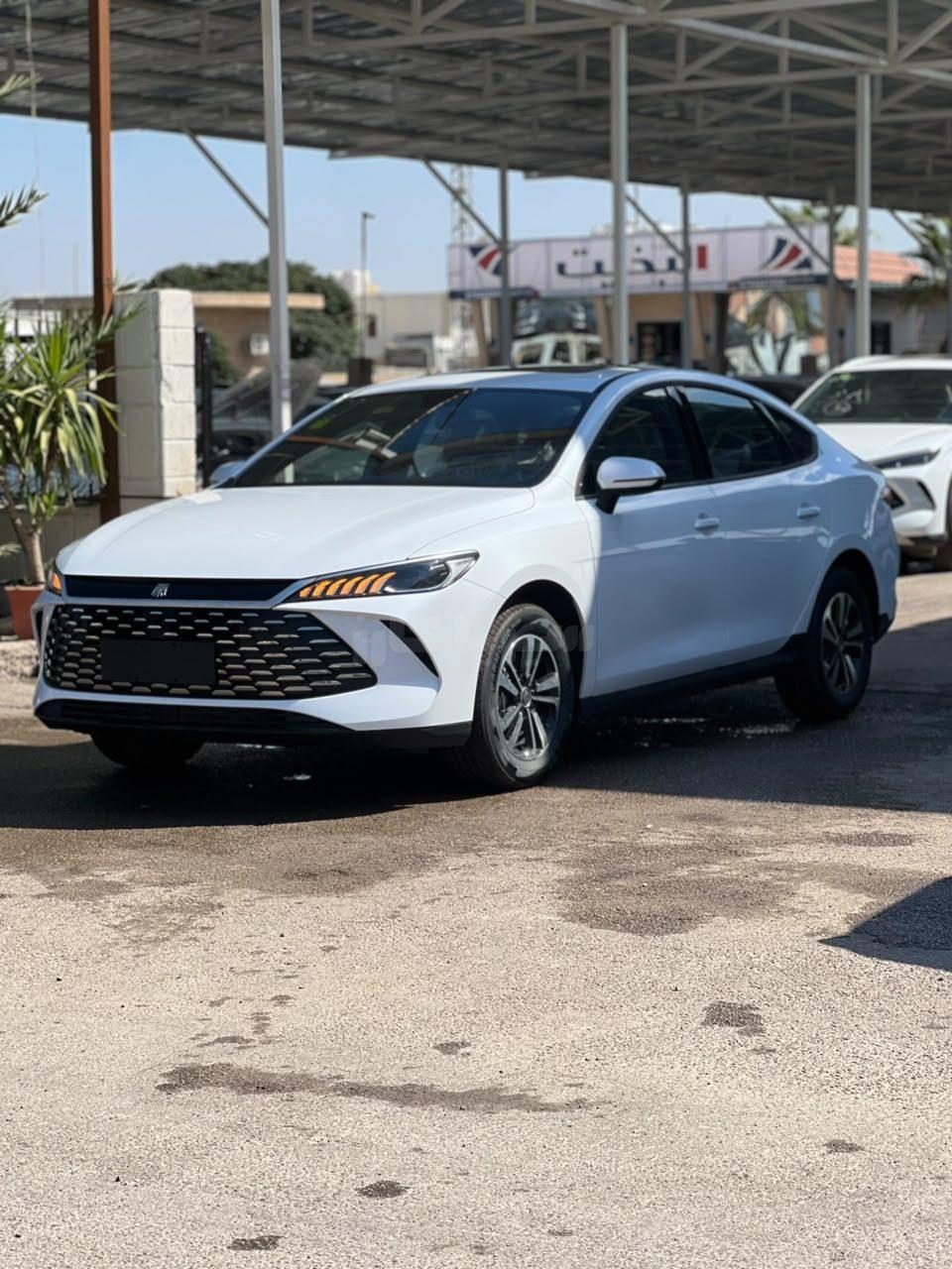 بي واي دي - BYD كين بلس - Qin Plus