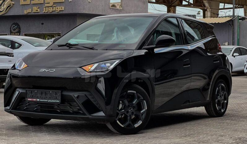 بي واي دي - BYD دولفين - Dolphin